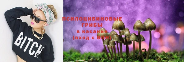 СК Корсаков
