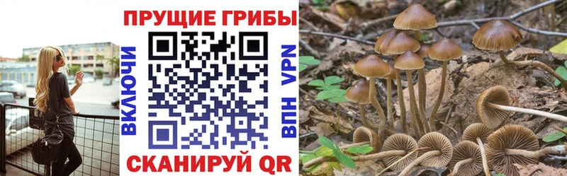 Галлюциногенные грибы MAGIC MUSHROOMS  Купить  Буйнакск 