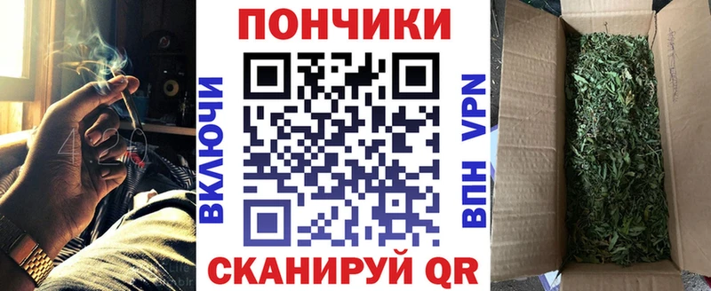 Бошки марихуана Bruce Banner Купить где Буйнакск